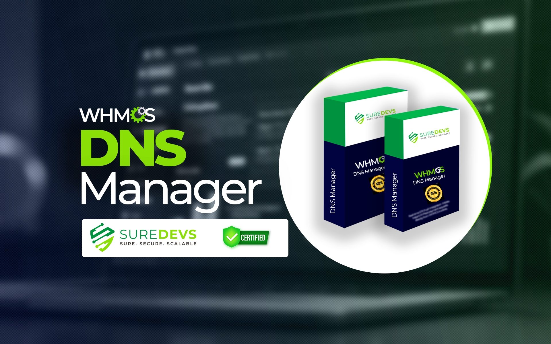 WHMCS DNS Manager